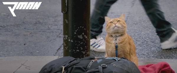รีวิว A Street Cat Named Bob